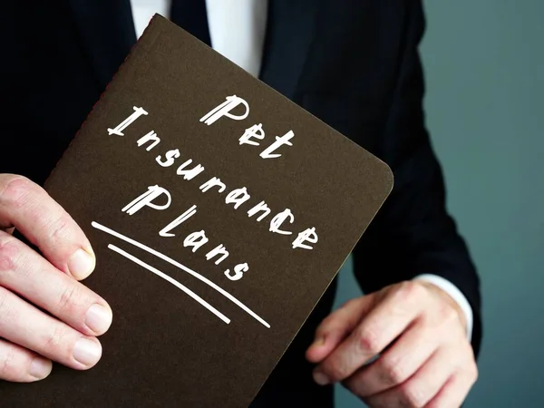 Pet Insurance Plans word on notepad on woody desk