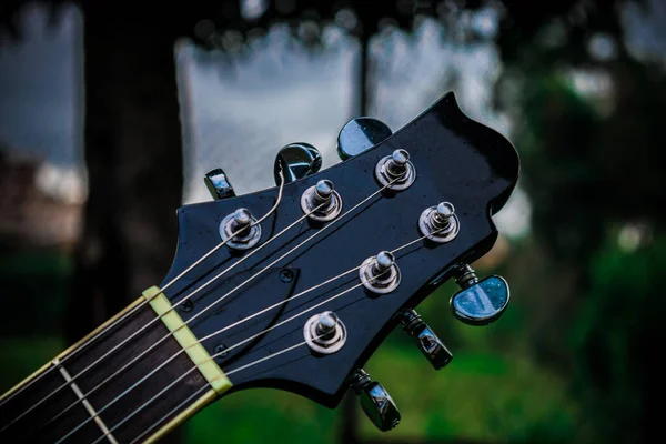 Gitarr Headstock Skogen — Stockfoto