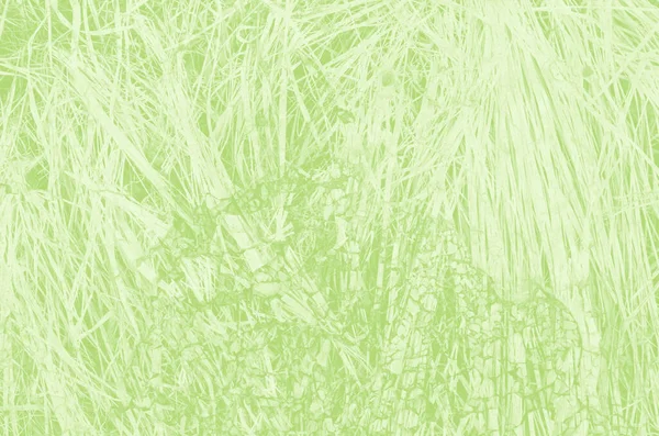 Abstrait Fond Vert Clair Avec Espace Copie Pour Conception — Photo
