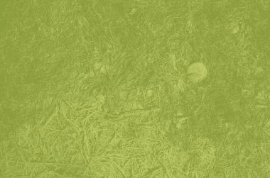 Tasarım için soyut zeytin ve haki rengi arkaplanı.