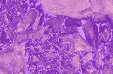 soyut menekşe; dizayn için pembe ve mor arkaplan.