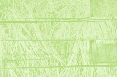 Tasarım için kopyalama alanı olan soyut açık yeşil arkaplan.