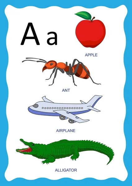 Εικονογράφηση Διάνυσμα Της Εικόνας Σετ Αλφάβητο Για Γράμμα Μήλο Μυρμήγκι — Διανυσματικό Αρχείο