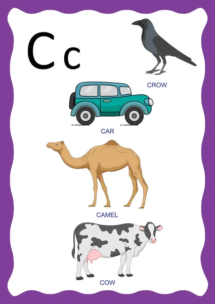 Alphabet Anglais Avec Images Mot Titres Pour Éducation Des Enfants — Image vectorielle