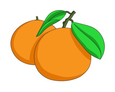 Portakal meyvesinin vektör çizimi. Beyaz arka planda izole edilmiş taze turuncu el çizimi