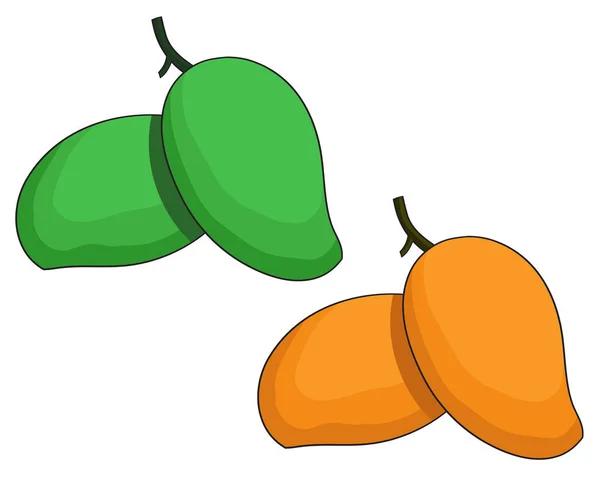 Ilustración Vectorial Fruta Mango Verde Madura Mano Dibujada Naranja Fresca — Archivo Imágenes Vectoriales