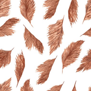 Suluboya elle çizilmiş kusursuz desen. Kurumuş saçaklar, beyaz arka planda izole edilmiş.