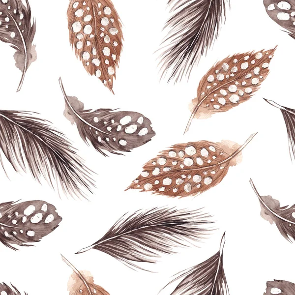 Seamless pattern with pretty feathers, watercolor hand draw element isolated on white background