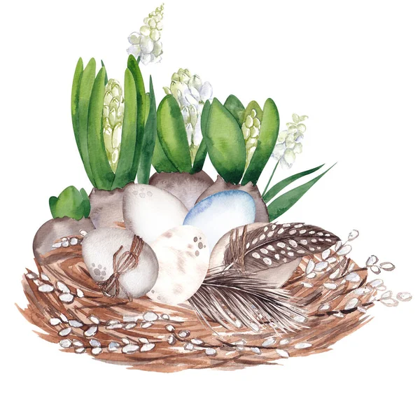 Ilustración Pascua Con Ramas Sauce Huevos Flores Primavera Plumas Aisladas —  Fotos de Stock