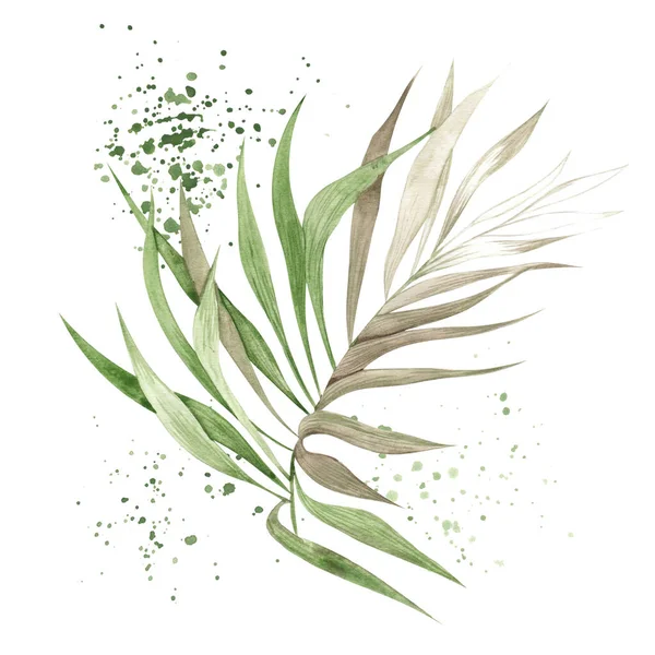 Aquarelillustratie Met Tropisch Blad Handtekening Bloemenelement Geïsoleerd Witte Achtergrond — Stockfoto