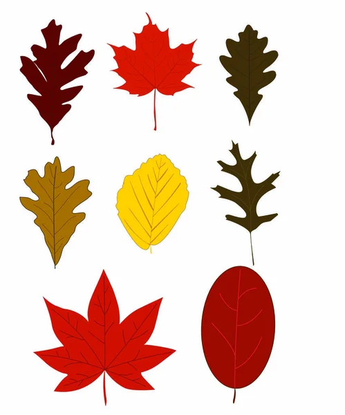 Canada Flag Made Red Maple Leaves Canada Day Stock Photo — Stock Photo, Image