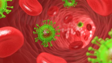İnsan kanında grip hücrelerinin 3 boyutlu oluşturulması