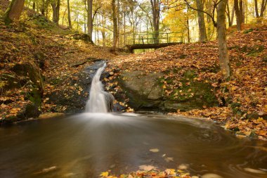 Sonbahar ormanındaki şelale ve gölet Stribro Czech yakınlarında uzun süre açıktır.