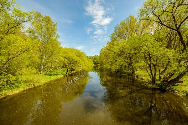 Спокойная Река Окружении Свежих Зеленых Деревьев Весной Недалеко Города Stribro — стоковое фото