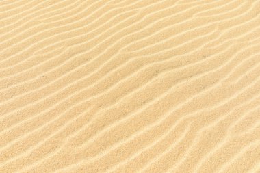 Kum tepeciğindeki rüzgar dalgalarının dokusu