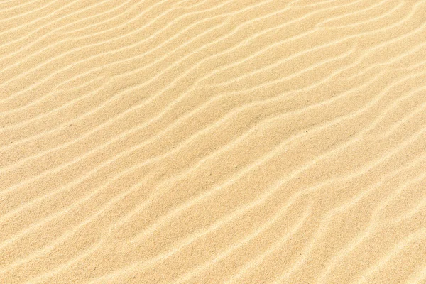 Texture Wind Ripples Sand Dune — Stock Photo, Image