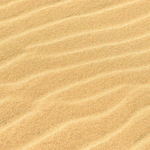 Textura Las Ondas Del Viento Una Duna Arena — Foto de Stock