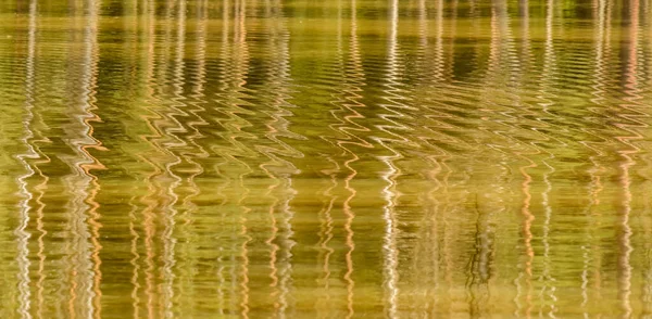 Zigzag Rimpelingen Het Water Reflecterende Boom Stengels Textuur — Stockfoto