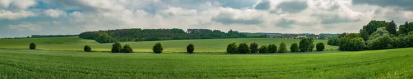 Allee Von Bäumen Mit Verschiedenen Laubfarben Zwischen Zwei Feldern Landschaft — Stockfoto