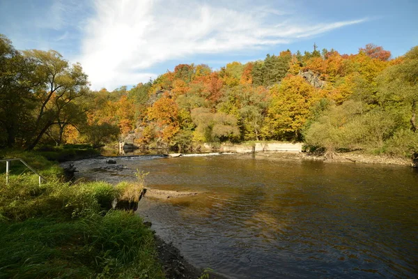 Река Старая Плотина Лесу Осенью Около Stribro Чех — стоковое фото