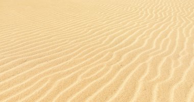Kum tepeciğindeki rüzgar dalgalarının dokusu