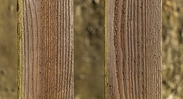 Oude Houten Planken Van Een Hek Textuur — Stockfoto