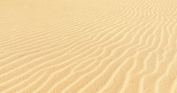Struttura Increspature Vento Una Duna Sabbia — Foto Stock
