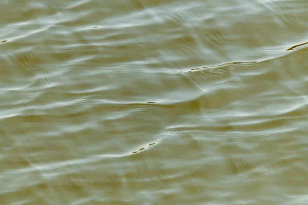 Patroon Van Kleine Golven Wateroppervlak Vijver Detail — Stockfoto