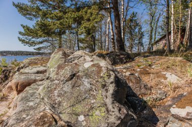 İsveç ormandaki adada kayalarla