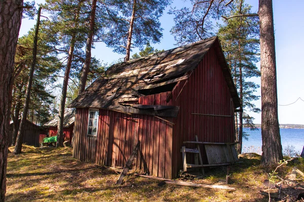 Sweden on the island within the forest with  a red shed
