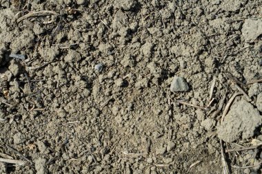 kirli zemin arkaplan dokusu metal beton