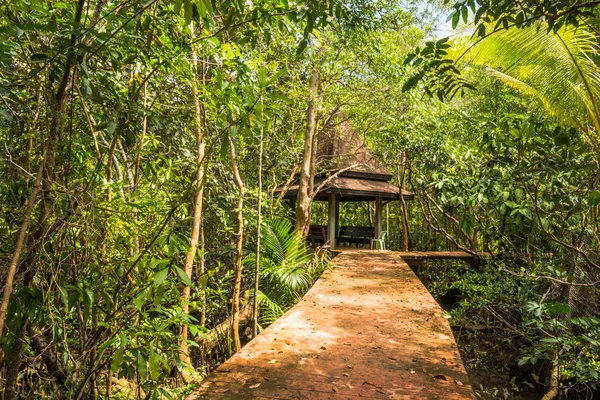 Tha Pom Klong şarkı Nam mangrov orman koruma ve Turizm — Stok fotoğraf