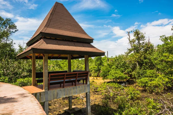 Tha Pom Klong şarkı Nam mangrov orman koruma ve Turizm — Stok fotoğraf