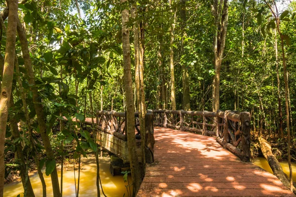 Tha Pom Klong Song Nam Manglar conservación de bosques y turistas — Foto de Stock