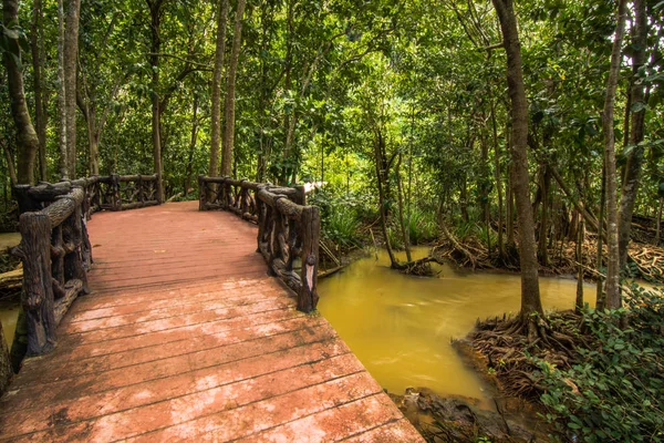 Tha Pom Klong Song Nam Manglar conservación de bosques y turistas — Foto de Stock