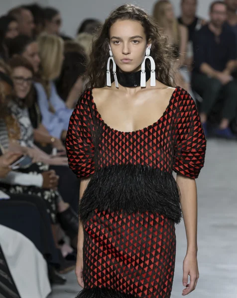 Proenza Schouler - Colección Primavera 2017 — Foto de Stock