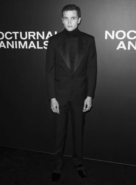 Nocturnal Animals film premiere NYC - Arrivals — Stock Photo, Image