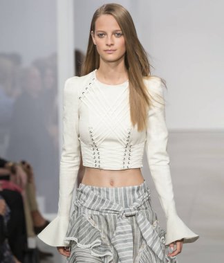 Zimmermann - bahar 2017 koleksiyonu