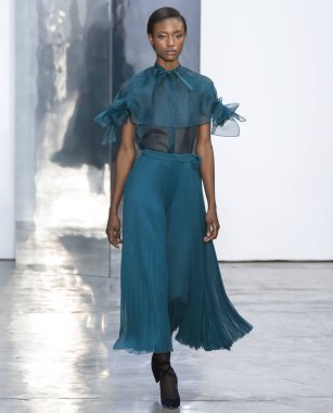 Carolina Herrera - 2017 sonbahar koleksiyonu