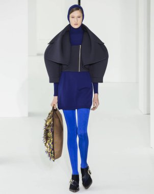 Delpozo - 2017 sonbahar koleksiyonu
