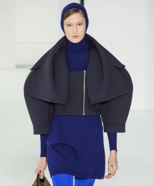 Delpozo - 2017 sonbahar koleksiyonu