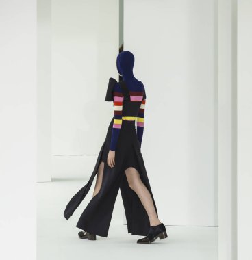 Delpozo - 2017 sonbahar koleksiyonu