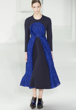 Delpozo - 2017 sonbahar koleksiyonu