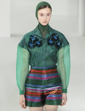 Delpozo - 2017 sonbahar koleksiyonu