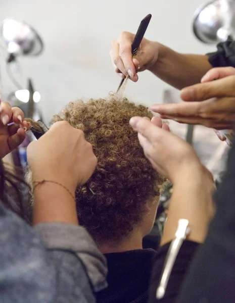 Rehberleri ve Voltaire - bahar yaz 2018, New York moda Wee göster