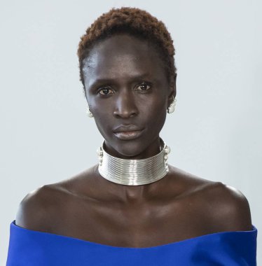 Denibi show - bahar yaz 2018, New York Moda Haftası