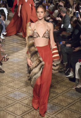 Dennis Basso - bahar 2018 koleksiyonu