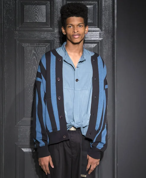 Gustav Von Aschenbach Robert Geller tanıtımı - erkekler bahar tarafından