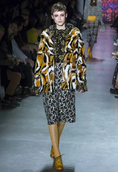 Anna Sui show - sonbahar kış 2018, New York Moda Haftası