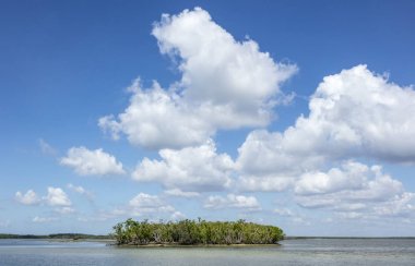 Ten Thousand Islands, Everglades, Florida clipart